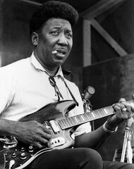 Muddy Waters