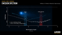 James Webb Space Telescope finds water in asteroid belt, hinting ...