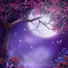 Aofoto Beautiful Moon Night Garden