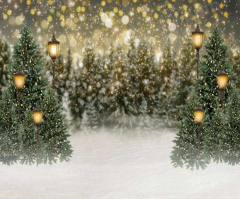 Kate 10×8ft (3×2.5m) Christmas Tree Photo Backdrop Bokeh Light Green Street Glitter Photography Background Xmas for Indoor Foldable Photo Studio Props