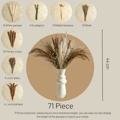 RiverNoir 71PC Dried Flower Bouquet, Pampus Grass, Dried Pampas Grass, Perfect Boho, Pampas Grass