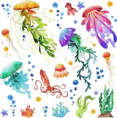 Ocean Jellyfish Decal, Under The Sea Fish Jellyfish Stickers, Vivid Seaweed Starfish Bubble Vinyl, Removable DIY Walls Mura (Buiory Creative 3D Removable Under The Sea Colorful Jellyfish and Seaweed Decals)