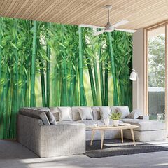 Bamboo Forest