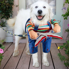 Great Pyrenees