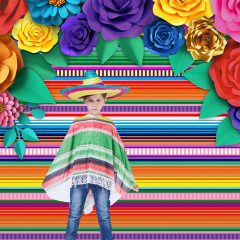 Amazon: FT Mexican Fiesta Theme Party Striped Cinco De Mayo ...