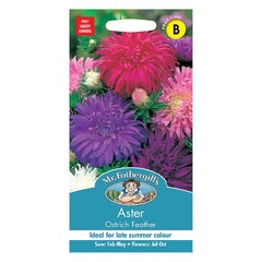 Mr Fothergill's Aster Ostrich Feather Seeds - 250 Seeds (Aster Ostrich Feather)