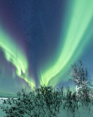 Northern Lights and the Magical Night Sky - Kilpissafarit