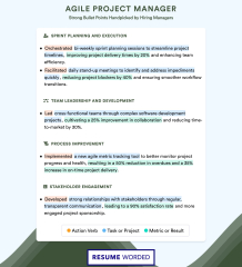 Agile%20Project%20Manager%20Resume%20Examples%20for%202024%20%7C%20Resume%20Worded