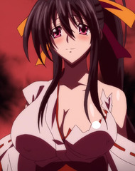 Akeno Himejima (High School DxD)