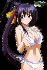 Akeno Himejima (High School DxD)