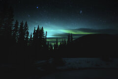 Northern Lights (Great BIG Northern Lights over Black Spruce forest during Winter in Southcentral Alaska)