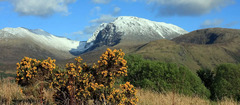 How to navigate Ben Nevis routes like a pro