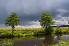 Wandermarathon im Westerwald - Immer als erste am Ziel ...