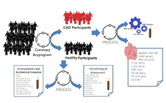 Biomedicines |-Text | Elucidating the Histone ...