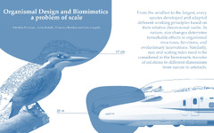 Biomimetics |-Text | Organismal Design and Biomimetics ...