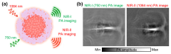 Biosensors |-Text | Contrast Agents for Photoacoustic ...