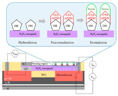 Biosensors |-Text | Functionalization of ay ...