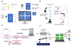 Biosensors |-Text | Advancing Healthcare: Synergizing ...