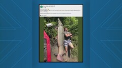 Texas angler lays next to record alligator gar | khou