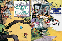 Calvin and Hobbes (The Indispensable Calvin and Hobbes by Bill Watterson)