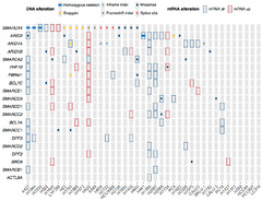 Cancers |-Text | Comprehensive Analysis of SWI/SNF ...