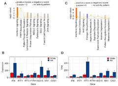 Cancers |-Text | Dysregulation of Type I Interferon (IFN ...