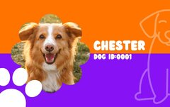 Customize 22+ Dog Id Card Templates Online - Canva