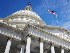 The United States Capitol Building (United States Congress)