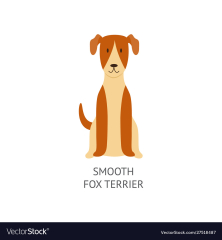 Cartoon smooth fox terrier dog isolated on white Vector