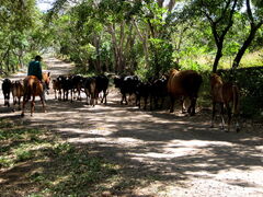 My Years Among the Locals: Things I Have Learned Living in Nicaragua