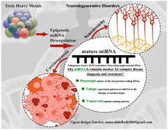 Toxic-Metal-Induced Alteration in miRNA Expression Profile as a Proposed Mechanism for Disease Development