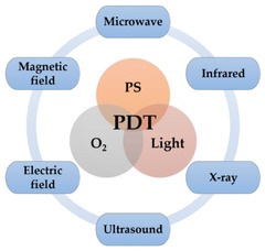 Cells |-Text | Enhanced Photodynamic Therapy: A Review ...