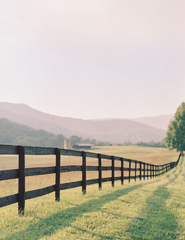 Charlottesville Wedding Photographer | Virginia Road Trip on Film