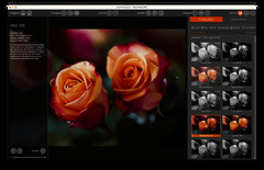 Découvrez les nouveautés de DxO PhotoLab 7 et de FilmPack 7