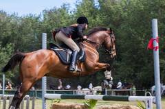 Horse Riding (Show jumping)