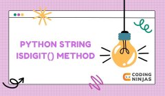 Python%20String%20isdigit()%20Method%20-%20Naukri%20Code%20360