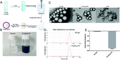 Combined photothermal-immunotherapy via poly-tannic acid coated ...