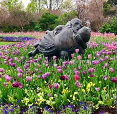 James Visits the Dallas Arboretum and Botanical Gardens | Gulfside ...