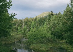 This Weekend in the Adirondacks: Much needed rain | NCPR News