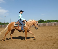 The Wonderful World of Horses: Insights from a Horse Lover and Western Saddle Rider