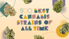 The best strains of all time: 100 top cannabis strains to try | Leafly