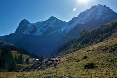 Murren, Switzerland: A Living Postcard