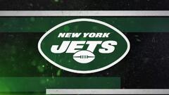 New York Jets (Fanmats New York Jets Large Decal)