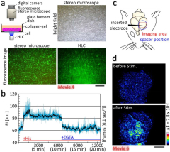 Single-molecule detection and super-resolution imaging with a ...