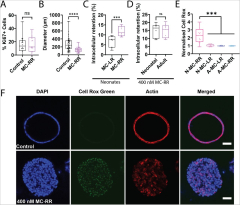 Distinct transcriptomic and epigenomic responses of mature ...