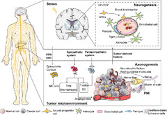 Frontiers | Nerves in the Tumor Microenvironment: Origin and Effects