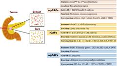 Pancreatic cancer