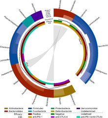 Frontiers | Dissecting the role of the gut microbiome and fecal ...