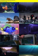 Finding Dory 2016 1080p BluRay H264 AAC-RARBG - SoftArchive