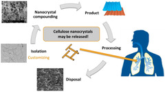 Fibers |-Text | Elucidating the Potential Biological ...